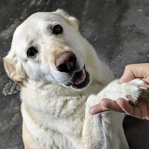 Meet your Posher, Michel